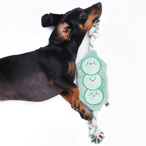 Toptan lüks sürdürülebilir gıcırtılı dolması halat köpek oyuncaklar sert köpek oyuncak paketi peluş bezelye - Product Image 5