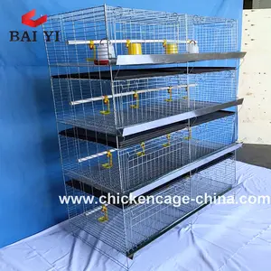Lồng Pin Cho Bé Chickes Brooke Lồng Để Bán - Product Image 4
