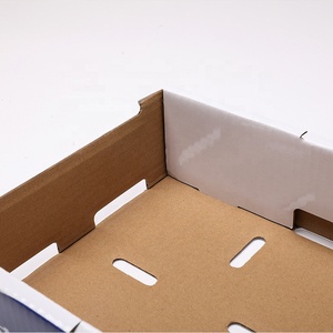 Boîte carton d'impression bleuets frais boîtes en carton ondulé pour l'emballage - Product Image 3