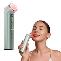 Appareil de beauté pour le visage avec baguette à lumière rouge, vibration à lumière bleue, chaleur et refroidissement, masseur facial rechargeable par USB Type-C