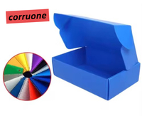 Wasserdichte PP-Kunststoff Flugzeugbox Polypropylen Wellkunststoff Pizza-Lieferbox für Roller Schwarze Einfache Box Lagerhaus