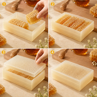 Boîte de stockage de miel de qualité alimentaire pour cadres de ruche, cassette à miel, conteneur, outils d'apiculture