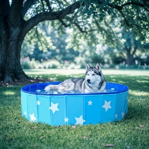Piscina Plegable <span class=keywords><strong>para</strong></span> <span class=keywords><strong>Perros</strong></span>, Piscina Portátil de PVC <span class=keywords><strong>para</strong></span> Mascotas, Piscina Plegable No Inflable <span class=keywords><strong>para</strong></span> <span class=keywords><strong>Perros</strong></span> Grandes, Venta al por Mayor de Fábrica OEM/ODM - Product Image 2