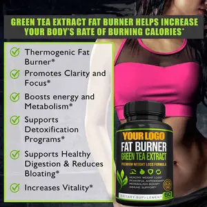Kapsul teh hijau organik suplemen Herbal dengan EGCG pembakar lemak penurun berat badan