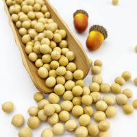 2024 culture chinois à haute teneur en protéines soja jaune soja/soja pour l'alimentation animale