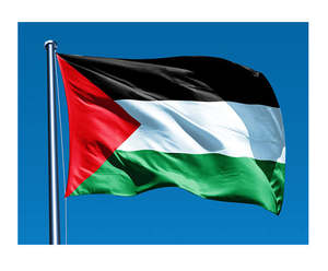 Bandera de Palestina Personalizada en Venta, 100% Poliéster, Doble Cara, Entrega Rápida, Estilo Bandera, Hecha a Mano, con Muestra Gratis - Product Image 2