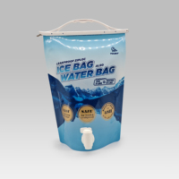 Sac en plastique PE pliable à grande capacité avec poignée, imprimé en gravure personnalisée, avec bec verseur, valve d'eau, emballage pour boissons de camping