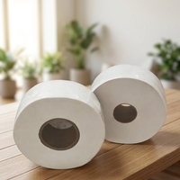 Papier toilette jetable écologique 2/3 plis en pâte de bois vierge, rouleaux de papier pour salle de bain, export en vrac avec service personnalisé