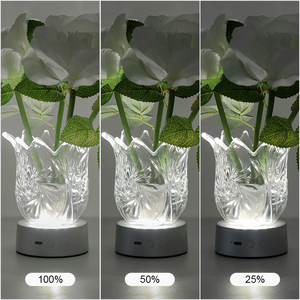 Đèn bàn hiện đại mới thay đổi màu sắc kéo cách làm mờ Đèn bàn hiện đại hiện đại với Đèn hoa Led cho đèn ngủ - Product Image 3