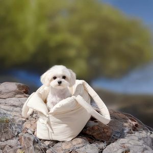<span class=keywords><strong>Sac</strong></span> à dos de transport pour animaux de compagnie de luxe, logo personnalisé, fabricant, portable, extérieur, <span class=keywords><strong>sac</strong></span> à dos pour chat, porte-animaux de compagnie, <span class=keywords><strong>sac</strong></span> de transport pour chien - Product Image 2