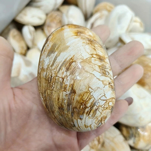 Wholesale Natural Shell fossil <b>Crystal</b> Lam Home Healing Hand Palm Perfect for Home Decor Office Gift - Product Image 1