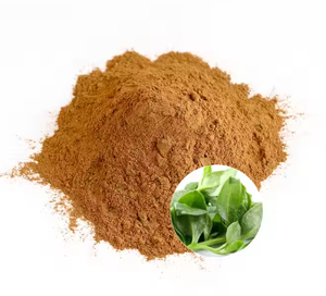 Nhà máy andrographis paniculata chiết xuất bột andrographis paniculata Chiết xuất hữu cơ tự nhiên andrographis paniculata P. E chiết xuất - Product Image 2