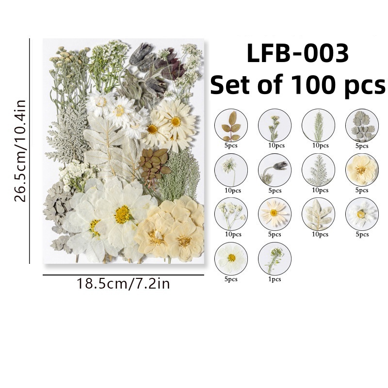 LFB-003