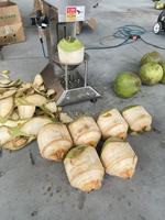 Automatische kokosnootschilmachine met hoogrendements-schelpensysteem voor de verwerking van verse kokosnoten