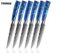 Ensemble de couteaux de cuisine en acier inoxydable avec manche en bois dents occidentales pour le pain et les fruits steak dentelé viande outil de chef travail osseux