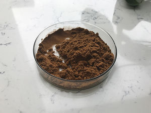 공장 판매 최고 품질 Ganoderma Lucidum 추출물 - Product Image 4