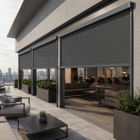Ilvia - Sistema de Cortinas Motorizadas Personalizadas para Ventanas de Patio, Cortina Enrollable Exterior con Cierre Zip, Transparente