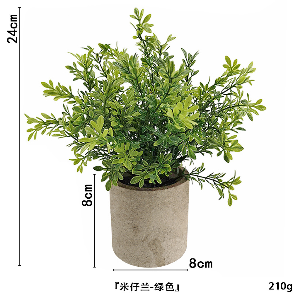 Milan sans poudre ahe371-066