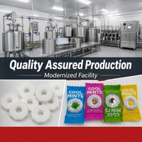 Wholesale Cool Mints Sugar Free Ring Shape Mint Candy Individually Wrapped Breath Fresh Tablet Mixed Fruit Flavor Mints