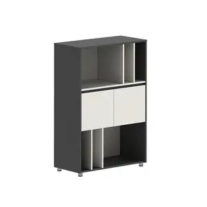 Modern Fixed Tank Cabinet Office Low Cabinet With 2 Doors And Hidden Handle