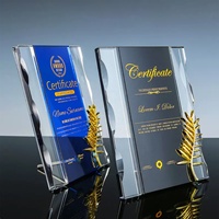 Plaques de cristal K9 transparentes faites à la main Plaques de carte de sport Belle boîte-cadeau Trophée de récompenses sablé haute qualité K9 cristal 2 couleurs