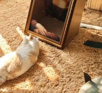 ZMaker Mona Lisa Griffoir pour chat avec cadre, design lit, peinture à l'huile 4D, motif peinture célèbre mondiale