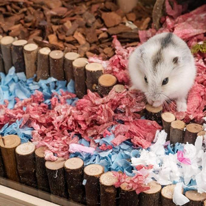Échelles en bois naturel Hamster Jouets Friendly Wooden Bark Pet Toy Durable Robuste Clôture en bois Cage Décorations - Product Image 5