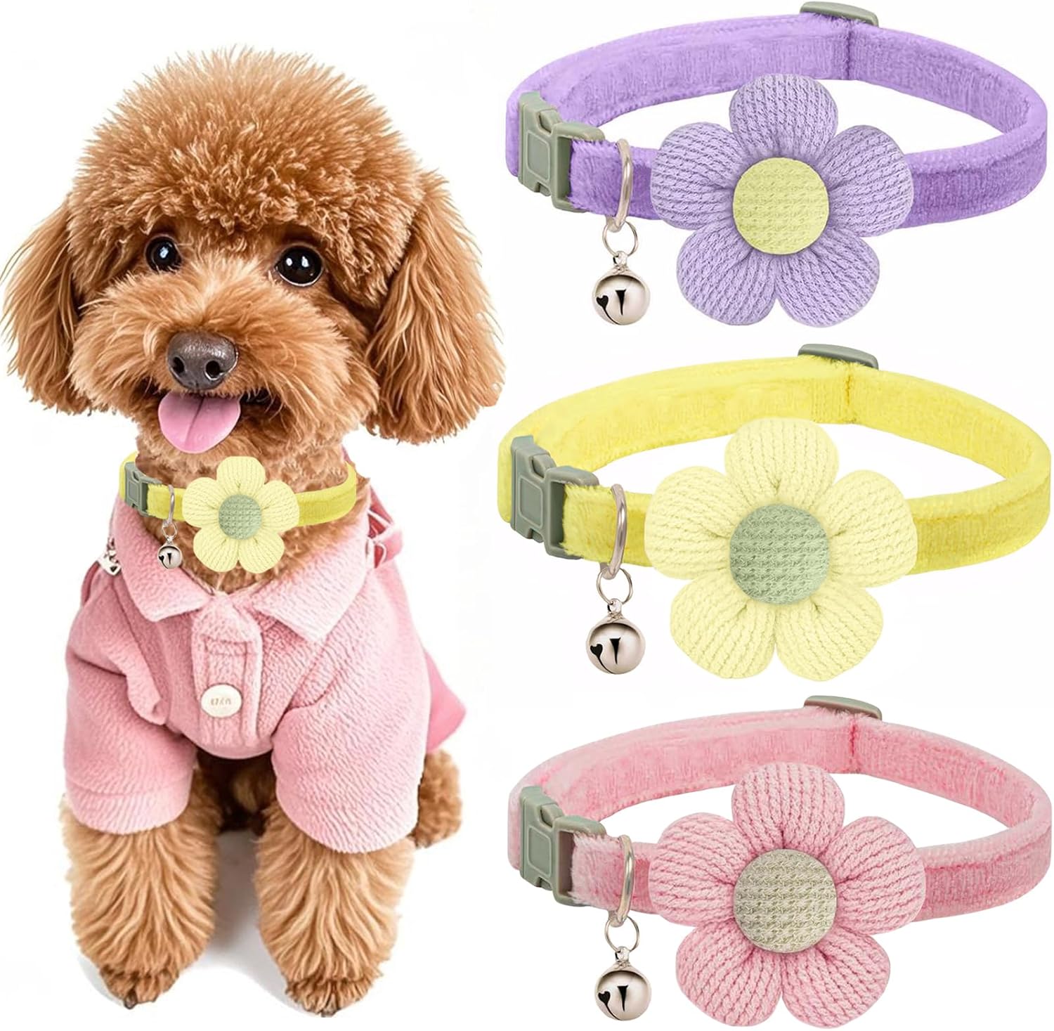 Pink + Purple + Yellow