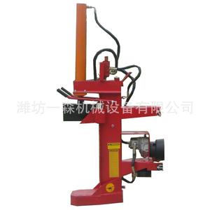Fendeuse de bois hydraulique professionnelle avec pompe intégrée - Product Image 2