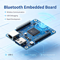 Placa de Desarrollo Integrada Personalizada con Chip BLE, Interfaz de Descarga USB, Controlador Inalámbrico IoT, Fabricante de PCBA