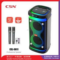 Enceinte de fête portable CSL-0811 double 8 pouces avec lumière LED RVB effet flamme, micro sans fil et basses puissantes pour extérieur