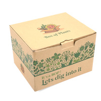 Caja de Cartón Kraft Natural con Impresión de Eslogan Personalizado OEM ODM, Bajo MOQ, Set de Inicio para Jardinería, Caja de Envío