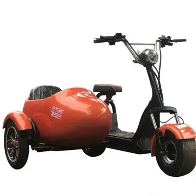 2020 new 1000w city Splendid partial A three-wheeled motorcycle