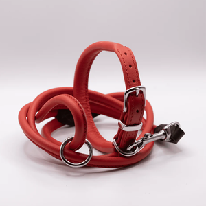 <span class=keywords><strong>2025</strong></span> nuevo producto para mascotas correa de cuero genuino personalizada <span class=keywords><strong>collar</strong></span> de perro de cuero suave enrollado y juego de plomo - Product Image 2