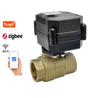 Alarme de fuite d'eau intelligente Tuya WIFI/Zigbee et vanne à boisseau motorisée à arrêt automatique 5V