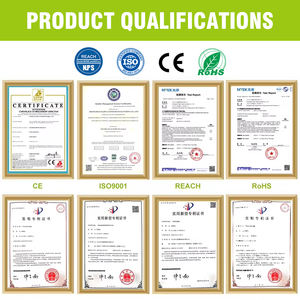 Alta Qualidade 4tpr 90Kg Capacidade de Carga Giratória Médio Duty Rodízio Rodas Placa De Aço Inoxidável Rodízio Rodas - Product Image 4