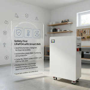 Sistema de Almacenamiento de Energía Doméstico Todo en Uno, Batería de 16 kWh, 51.2V 314Ah, de Pie, para Híbrido Solar NEHC0017 - Product Image 5