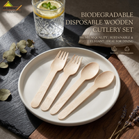 Lot de Couverts en Bois de Bouleau Écologiques en Gros : Cuillères, Fourchettes, Couteaux – Ustensiles Compostables Jetables en Vrac