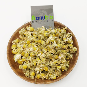 Nhiệt độ thấp nở hoa hồng màu đỏ nở hoa hồng - Product Image 2