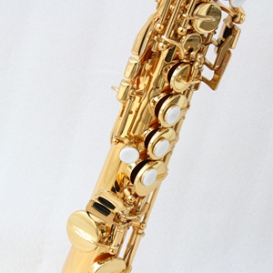Saxofón <span class=keywords><strong>Soprano</strong></span> Recto FOCUS FSS-700L, Lacado en Oro, Tono BB, Cuerpo de Latón con Estuche, Precio para Instrumento Clásico - Product Image 3