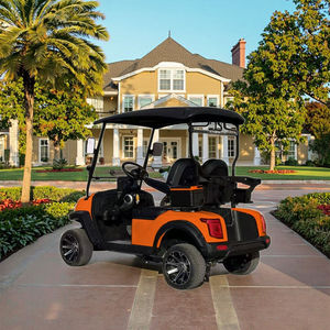 Carrito de Golf Eléctrico Clásico Vintage de Alta Calidad para 2 Personas, Carritos Personalizados, Automóvil para Carreteras No Públicas - Product Image 1