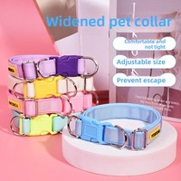 Collier et laisse réglables pour chiens de petite à moyenne taille, en polypropylène, anti-évasion, sans risque d'étouffement