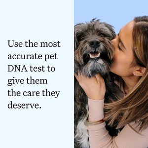 Kit Esencial para Pruebas de ADN Canino, Prueba de Alta Precisión para Más de 430 Razas de Perros, 30 Afecciones Genéticas, Más de 50 Características, Ascendencia, Más de 5 Millones de Mascotas - Product Image 2