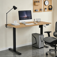 Bureau debout électrique, bureau de jeu réglable en hauteur, table d'ordinateur, mobilier de bureau à domicile, bureau de travail moderne