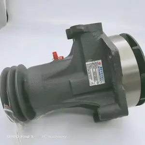 Weichai WD615 Dieselmotor Ersatzteile Wasserpumpe