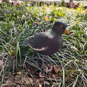 Realistische, duurzame, milieuvriendelijke PE-plastic duivenlokvogel voor buitenjacht, met ingebouwde stok voor tuin- en huisdecoratie - Product Image 6