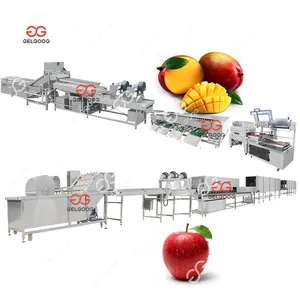 2Ton Per Hour Orange Mango Washing Cleaning Sorting Production Line Apple Mango Washing And Waxing Machine
