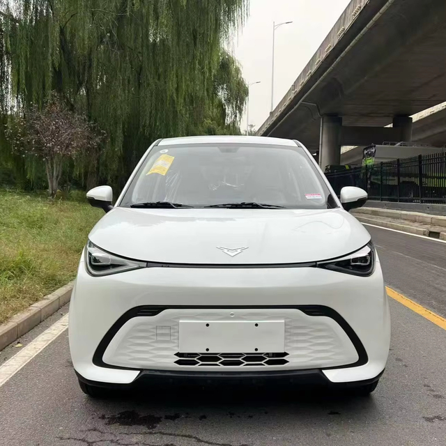 Eco Friendly New Arrival Pure Electric Mini Car 2023 Model 301km Wind Chaser Edition Kaiyi E Qute 02