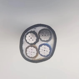 0.6/1KV NA2XY veya U1000 AR2V 4Cores95 MM² güç kablosu, AL /XLPE /PVC - Product Image 4