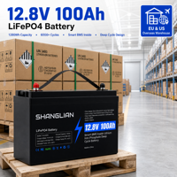 Batterie LiFePO4 12V 100Ah 200Ah 300Ah 600Ah 1280Wh à cycle profond, personnalisable, OEM, vente en gros, directement de l'usine, pour distributeurs en gros